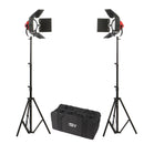 LadyBug 1000 LED 2-Light Kit